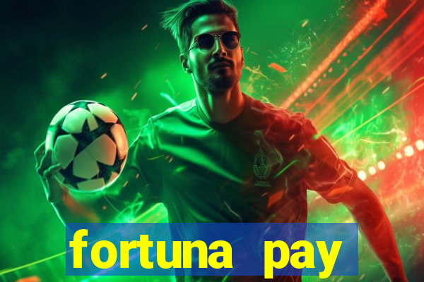 fortuna pay consultoria financeira ltda